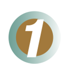 step 01