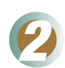 step 02