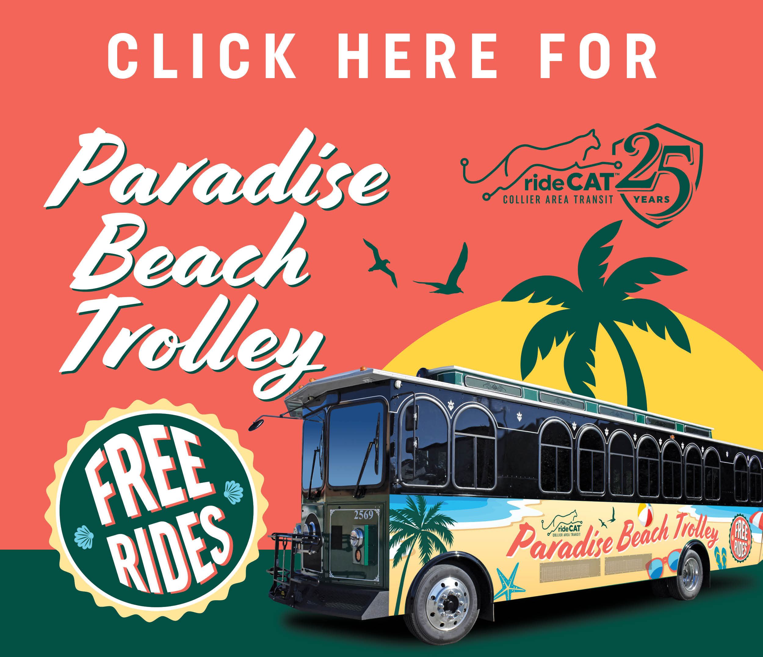 CAT’s Beach Bus is Back!