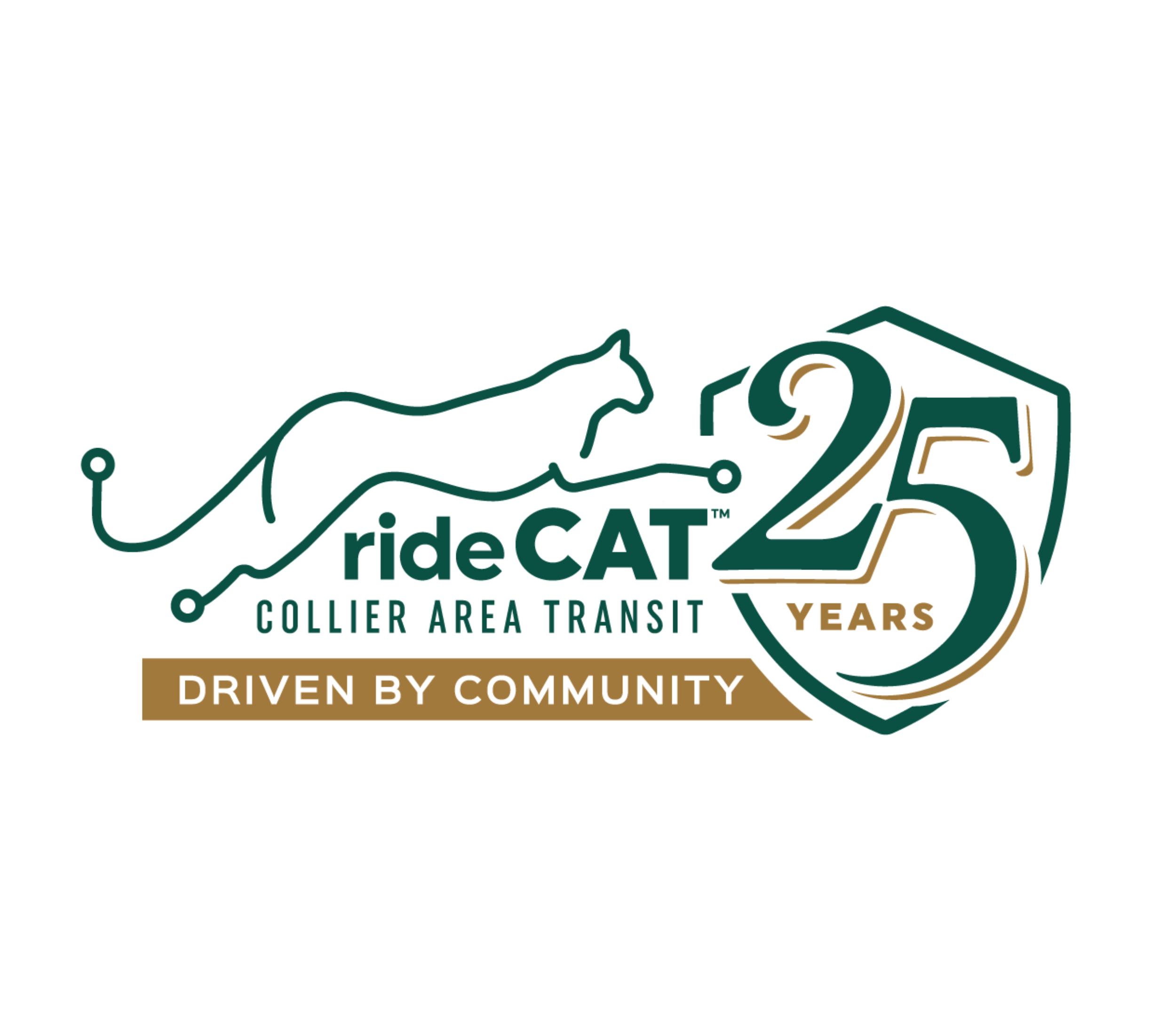 Happy 25 Years to CAT!
